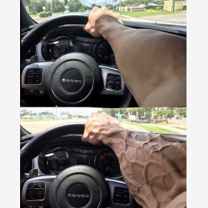 Chad Driver 2 Panel meme template