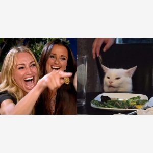 Woman Yelling At A Cat meme template