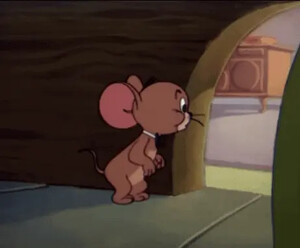 tom-jerry-animated-webp.webp